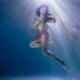 “Switch”: Marine Conservation Award Highly Commended